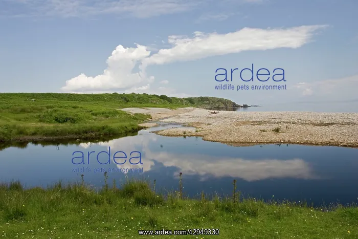 : Coastal scenery : Coastal scenery