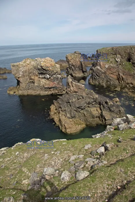 : Coastal Scenery : Coastal Scenery