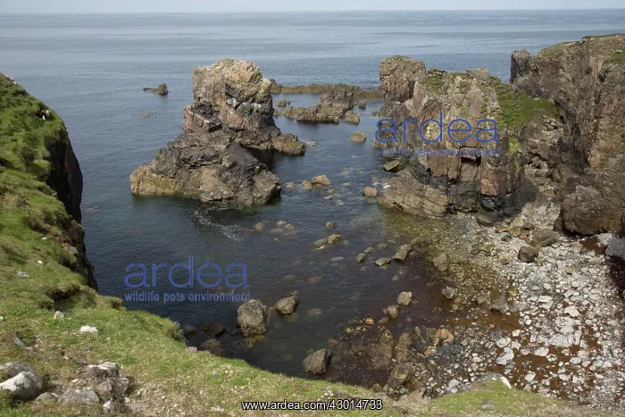 : Coastal Scenery : Coastal Scenery