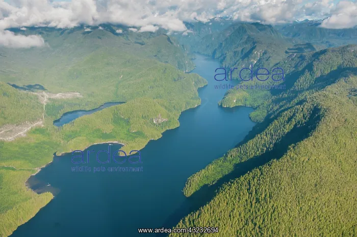 : Coastal scenery in Great Bear Rainforest : Coastal scenery in Great Bear Rainforest
