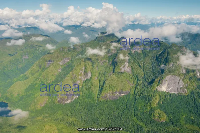 : Coastal scenery in Great Bear Rainforest : Coastal scenery in Great Bear Rainforest