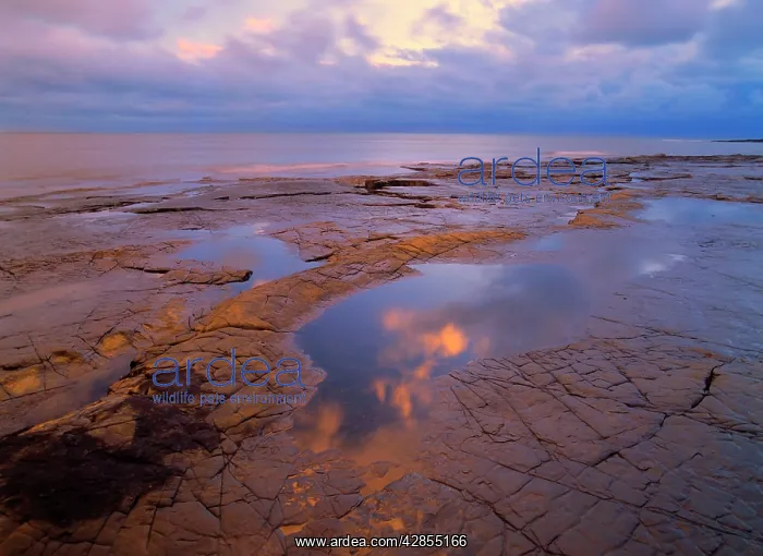 : Coastal scenery - rocky ledges and ocean at Kimmeridge : Coastal scenery - rocky ledges and ocean at Kimmeridge