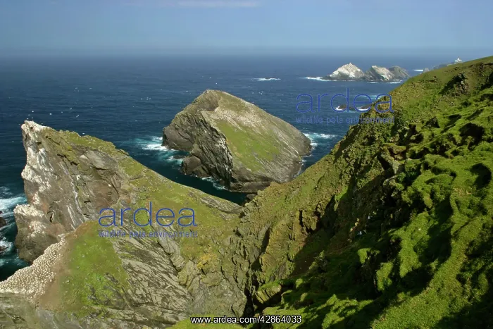 : Coastal Scenery - steep, jagged cliffs and off-shore : Coastal Scenery - steep, jagged cliffs and off-shore