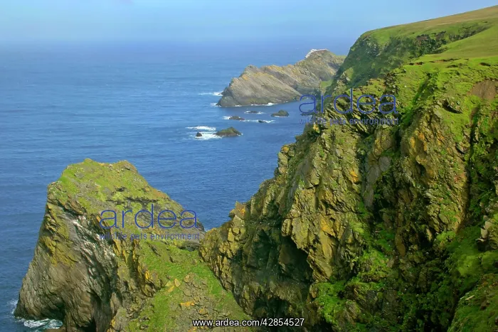  : Coastal Scenery - steep, jagged cliffs and sea