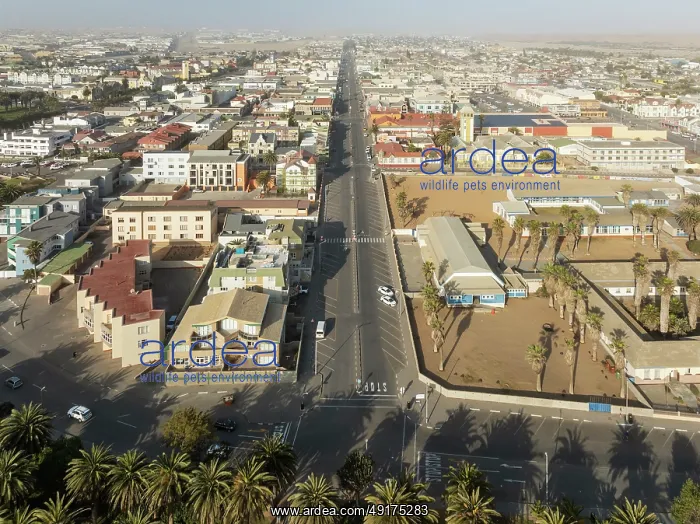 : The coastal town of Swakopmund between Namib Desert and Atlantic Ocean : The coastal town of Swakopmund between Namib Desert and Atlantic Ocean