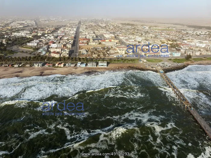 : The coastal town of Swakopmund between Namib Desert and Atlantic Ocean : The coastal town of Swakopmund between Namib Desert and Atlantic Ocean
