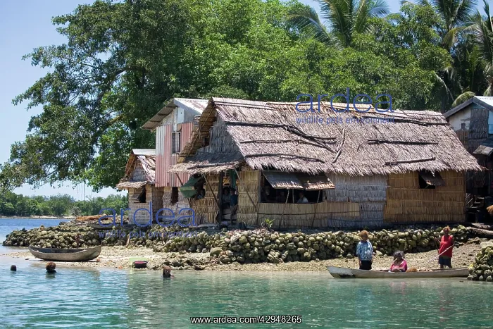 : Coastal village : Coastal village