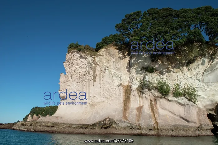 : Coastline - Mercury Bay, Coromandel region, North Island, New Zealand : Coastline - Mercury Bay, Coromandel region, North Island, New Zealand