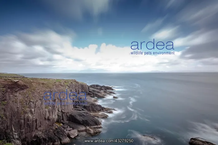 : Coastline on the Atlantic, Dingle Peninsula, County : Coastline on the Atlantic, Dingle Peninsula, County