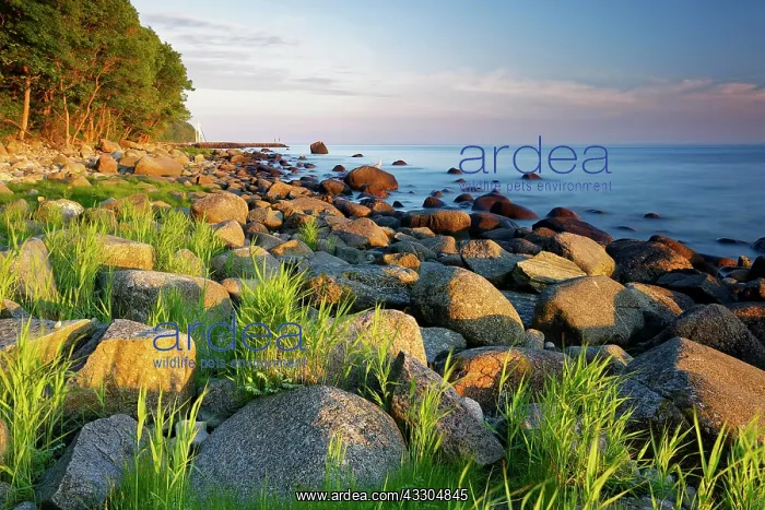 : Coastline, Baltic sea, Jasmund National Park, Sassnitz : Coastline, Baltic sea, Jasmund National Park, Sassnitz