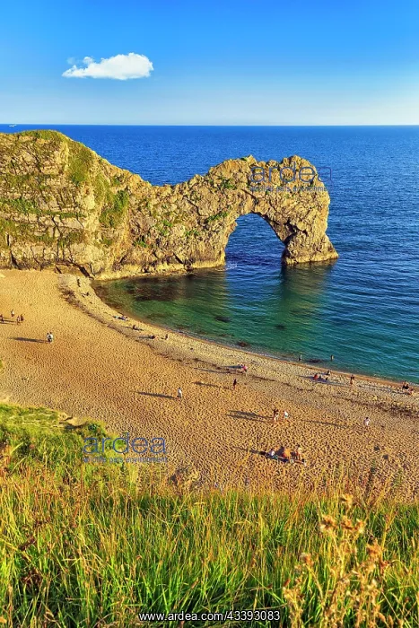 : Coastline with bathing beach at Durdle Door, lim : Coastline with bathing beach at Durdle Door, lim