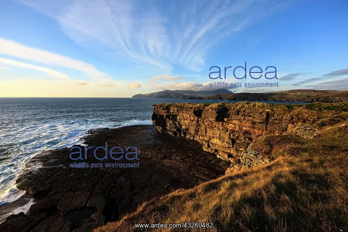  : Coastline at Muckross Head, Kilcar, County Donegal