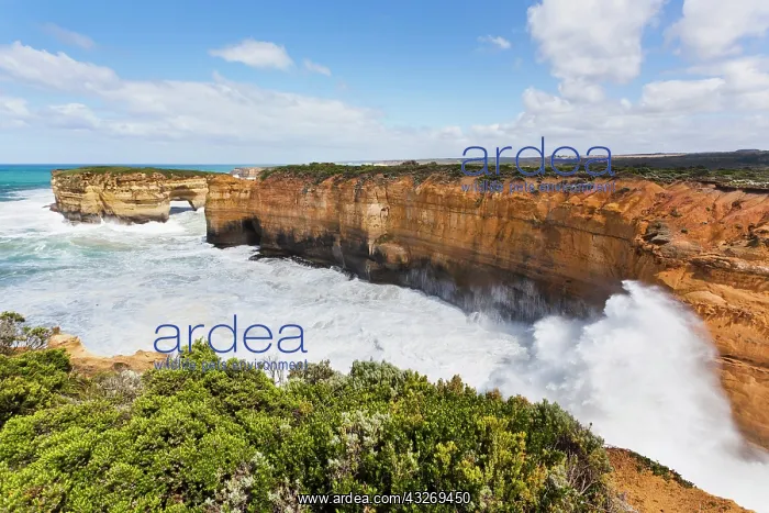 : The coastline near Loch Ard Gorge with Elephant : The coastline near Loch Ard Gorge with Elephant