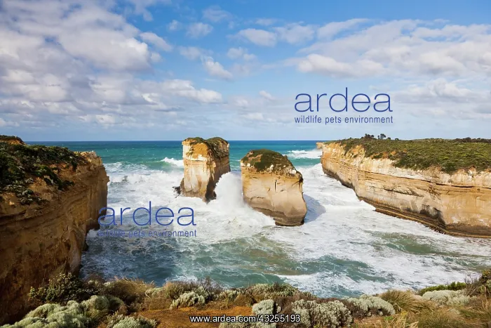 : The coastline near Loch Ard Gorge, Great : The coastline near Loch Ard Gorge, Great