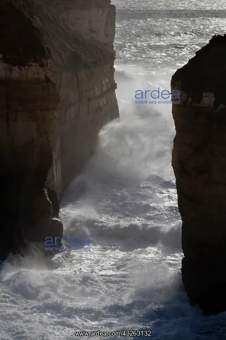 : The coastline near Loch Ard Gorge, Great : The coastline near Loch Ard Gorge, Great