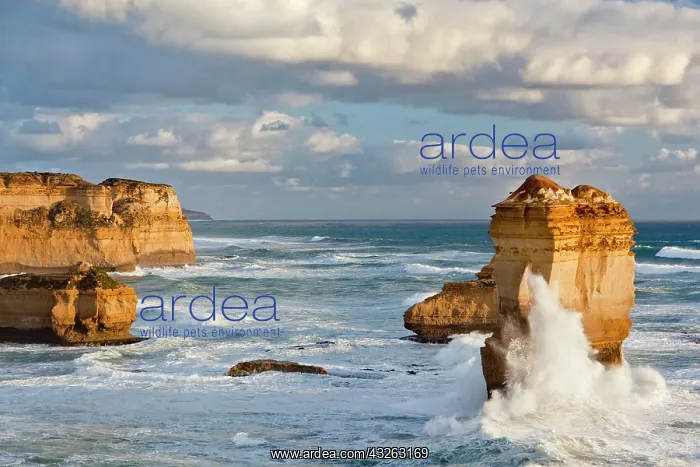 : The coastline near Loch Ard Gorge, looking : The coastline near Loch Ard Gorge, looking