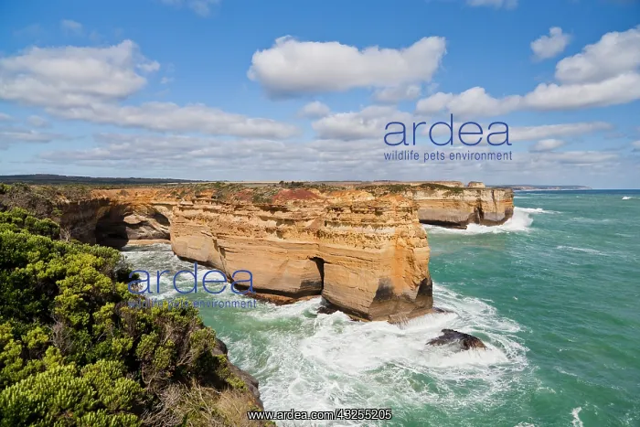 : The coastline near Loch Ard Gorge, view : The coastline near Loch Ard Gorge, view