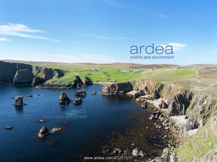 : Coastline near Westerwick. Shetland, Northern : Coastline near Westerwick. Shetland, Northern