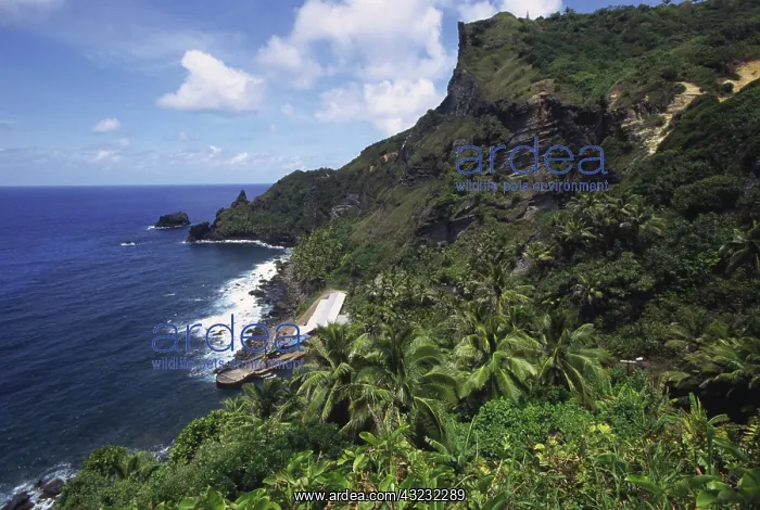 : Coastline, Pitcairn Island : Coastline, Pitcairn Island