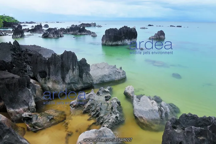 : Coastline - before a storm on the beach : Coastline - before a storm on the beach