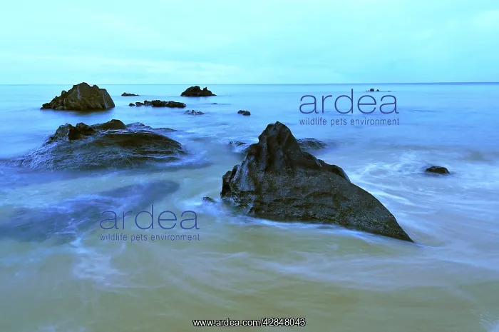 : Coastline - before a storm on the beach : Coastline - before a storm on the beach