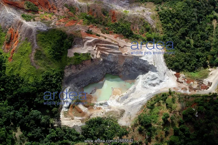 : Coconi Quarry - stone : Coconi Quarry - stone