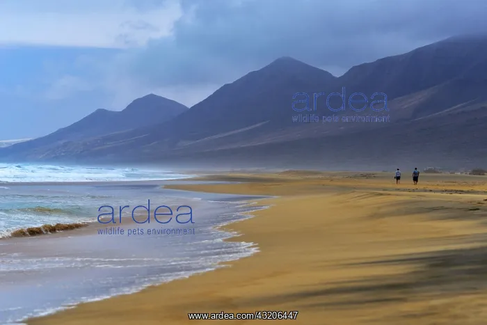 : Cofete beach, with 12 km long is located in the : Cofete beach, with 12 km long is located in the