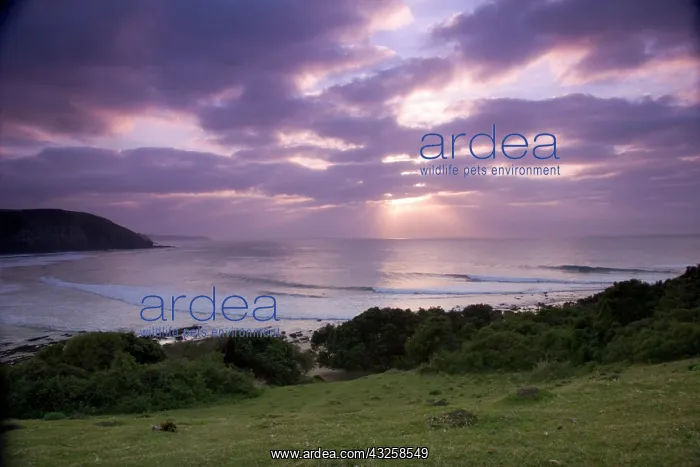 : Coffee Bay, Transkye, Wild Coast, South : Coffee Bay, Transkye, Wild Coast, South