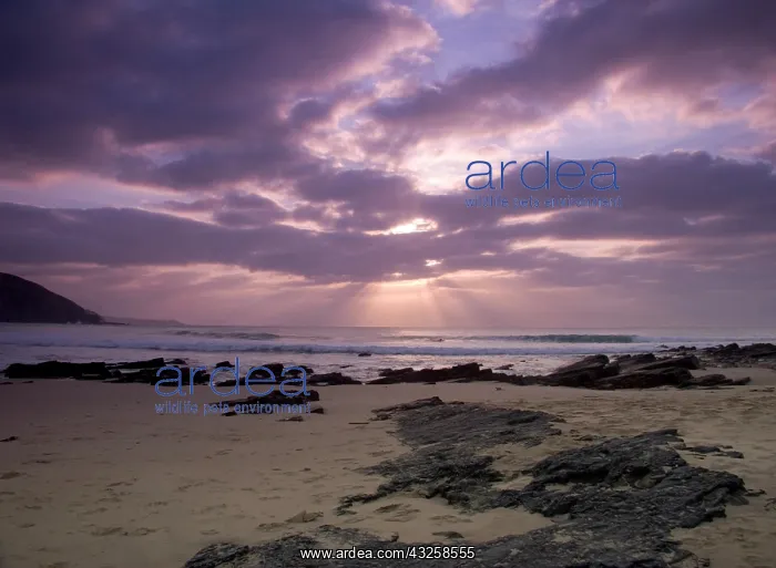 : Coffee Bay, Transkye, Wild Coast, South : Coffee Bay, Transkye, Wild Coast, South