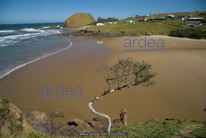 : Coffee Bay, Transkye, Wild Coast, South : Coffee Bay, Transkye, Wild Coast, South