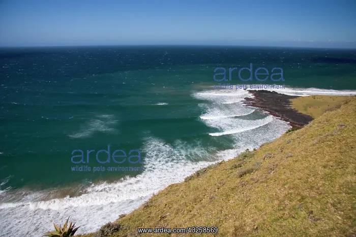: Coffee Bay, Transkye, Wild Coast, South : Coffee Bay, Transkye, Wild Coast, South
