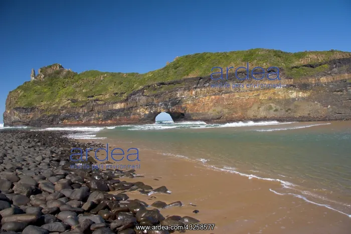 : Coffee Bay, Transkye, Wild Coast, South : Coffee Bay, Transkye, Wild Coast, South