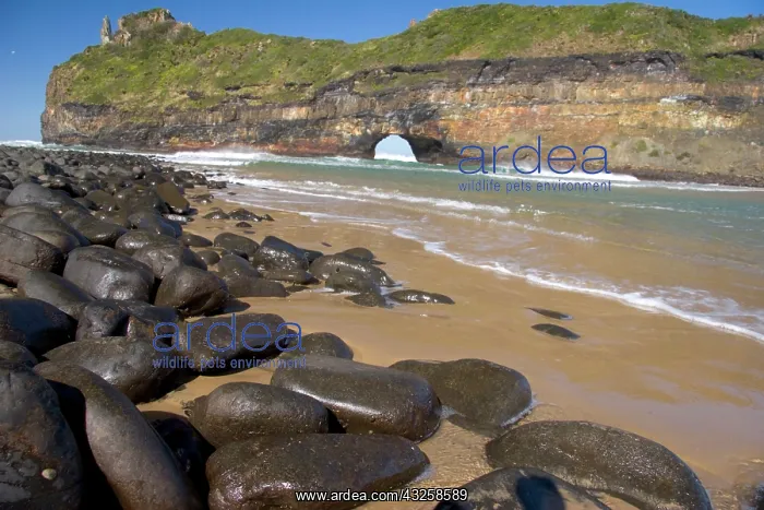 : Coffee Bay, Transkye, Wild Coast, South : Coffee Bay, Transkye, Wild Coast, South