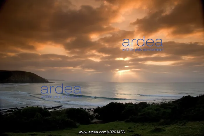 : Coffee Bay, Transkye, Wild Coast, South : Coffee Bay, Transkye, Wild Coast, South