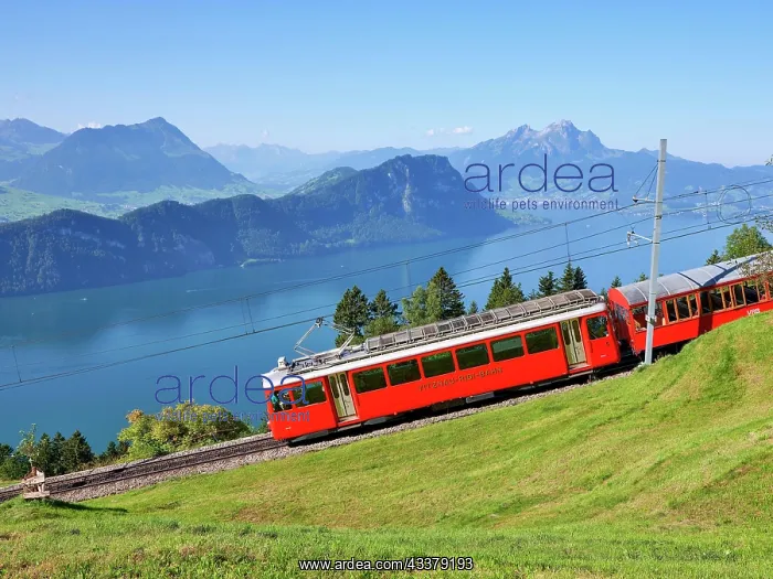 : Cogwheel railway up the Rigi, behind Lake Lucerne : Cogwheel railway up the Rigi, behind Lake Lucerne