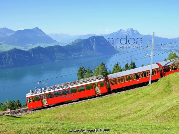 : Cogwheel railway up the Rigi, behind Lake Lucerne : Cogwheel railway up the Rigi, behind Lake Lucerne