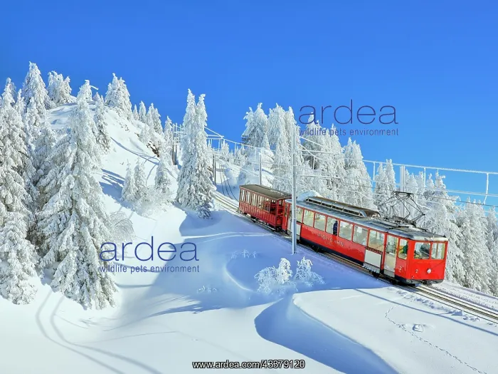 : Cogwheel railway travelling through snow-covered : Cogwheel railway travelling through snow-covered