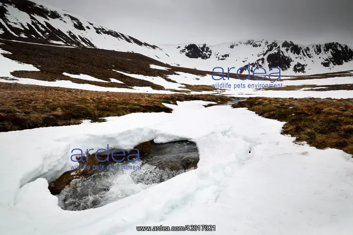 : Coire an t-Sneachda in snow : Coire an t-Sneachda in snow