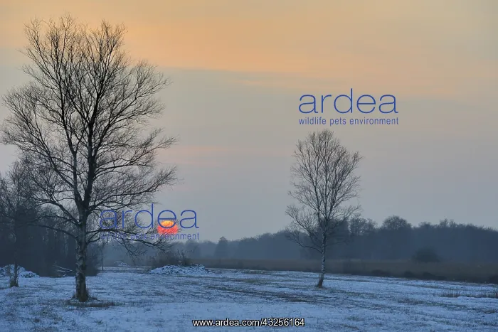  : On a cold winter afternoon the sun goes down ov