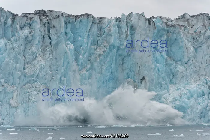 : Collapse of a glacier, Valdez, Alaska : Collapse of a glacier, Valdez, Alaska