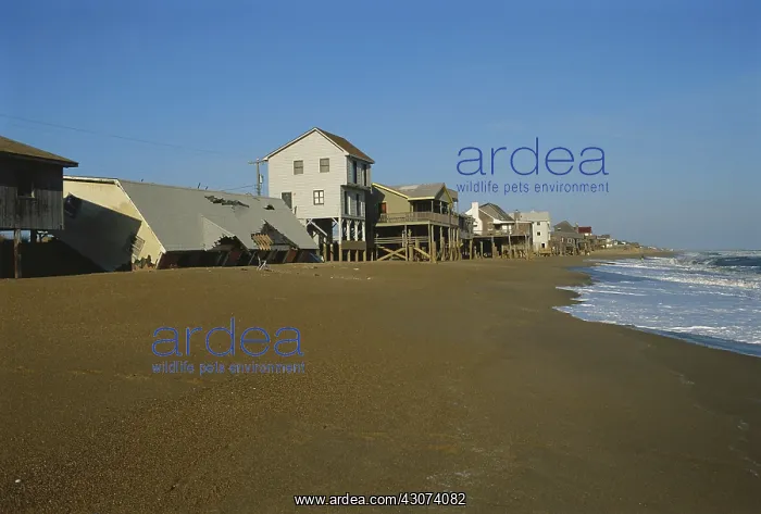 : Collapsed Cottage Due to Erosion, NC : Collapsed Cottage Due to Erosion, NC