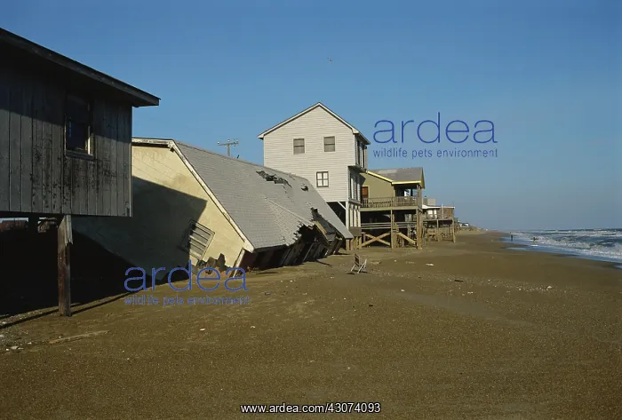 : Collapsed Cottage Due to Erosion, NC : Collapsed Cottage Due to Erosion, NC