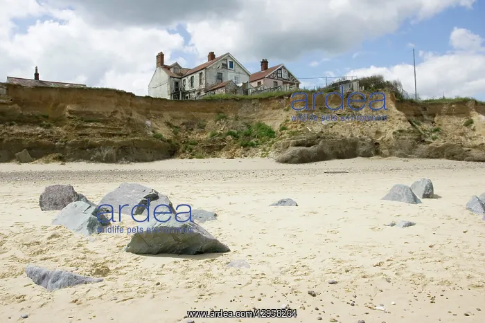: Collapsing houses on cliff edge severe coastal erosion : Collapsing houses on cliff edge severe coastal erosion