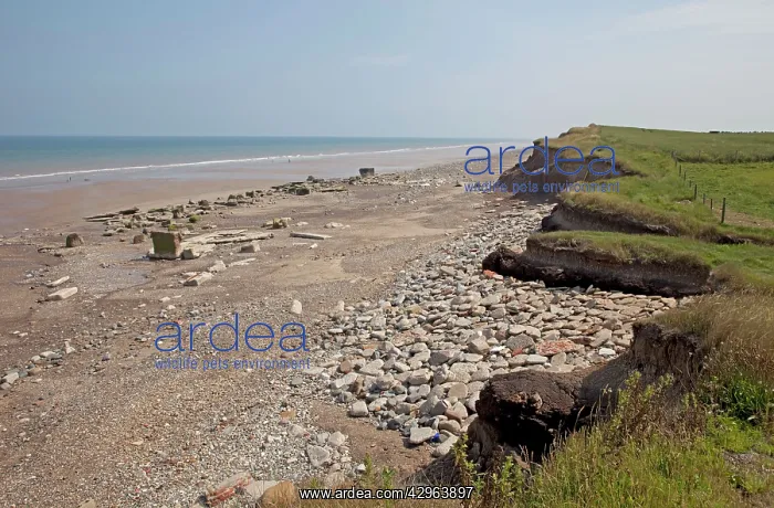: Collapsing tarmac road at cliff edge on coast road : Collapsing tarmac road at cliff edge on coast road