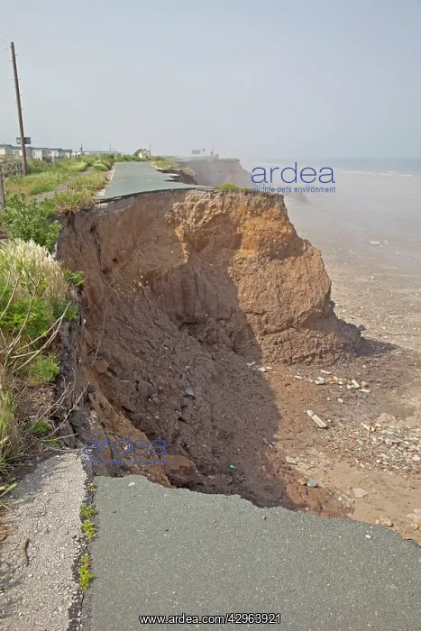 : Collapsing tarmac road at cliff edge on coast road : Collapsing tarmac road at cliff edge on coast road