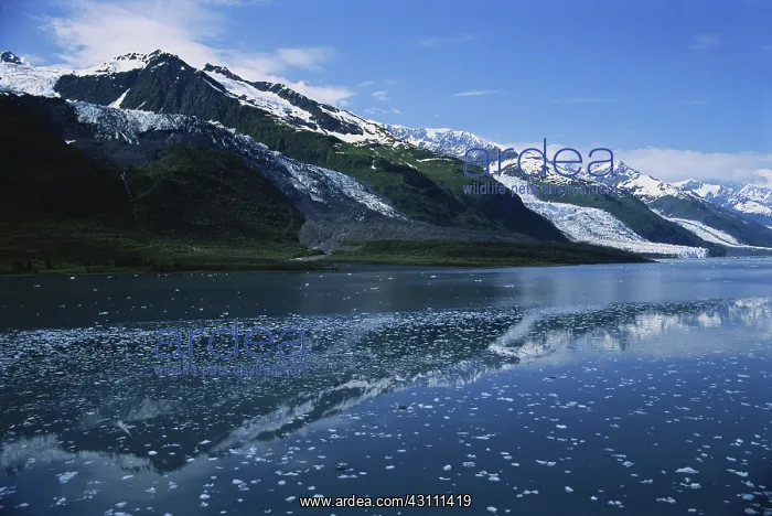 : College Fjord : College Fjord