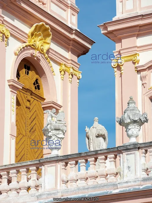 : The collegiate church. Gottweig Abbey, a UNESCO : The collegiate church. Gottweig Abbey, a UNESCO