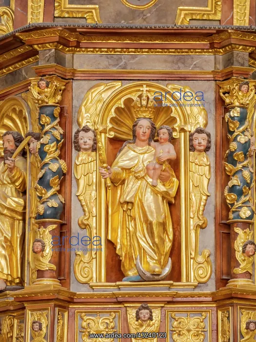 : The collegiate church, the interior. Gottweig Abbey : The collegiate church, the interior. Gottweig Abbey