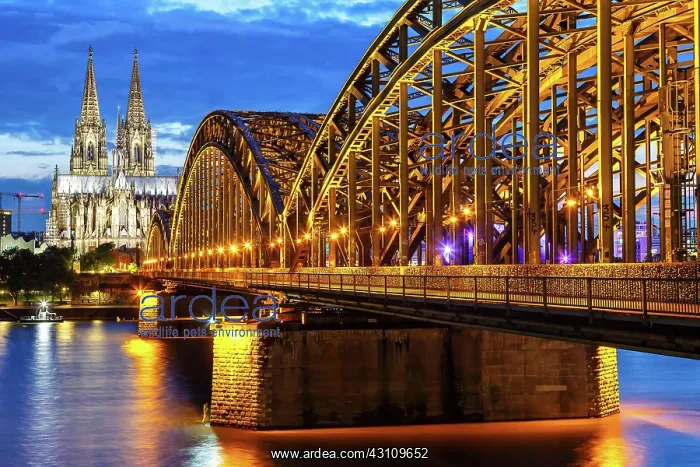: Cologne Cathedral Skyline and Hohenzollern Bridge : Cologne Cathedral Skyline and Hohenzollern Bridge