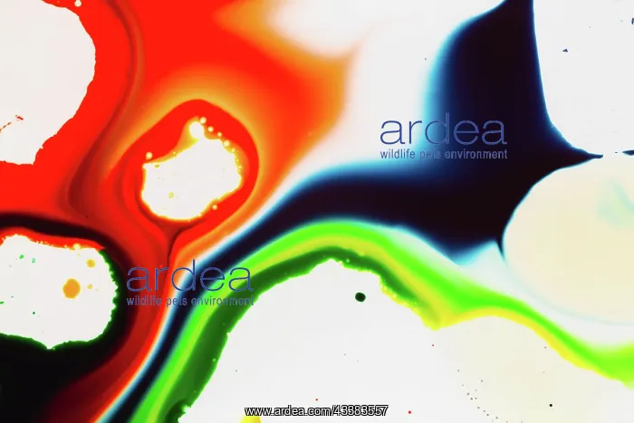 : Color abstract : Color abstract